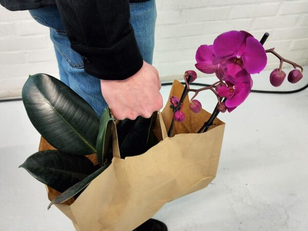 Plantkasse med eget tryck - Bär växter och blommor - Enklapack.se